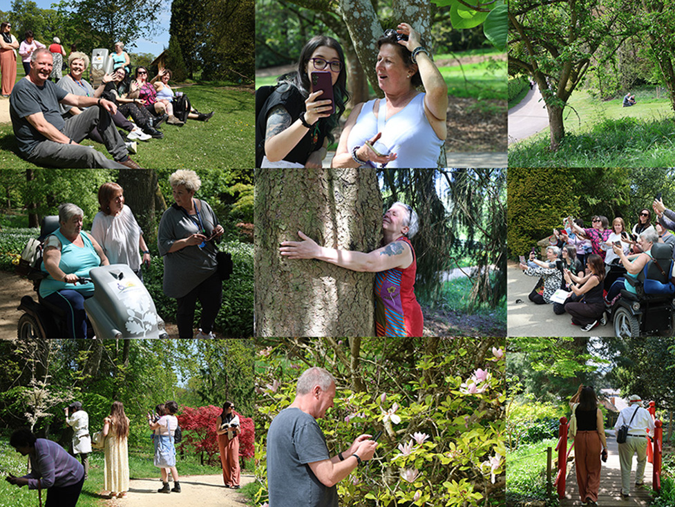 Collage of people taking part in a previous photography for wellbeing walk